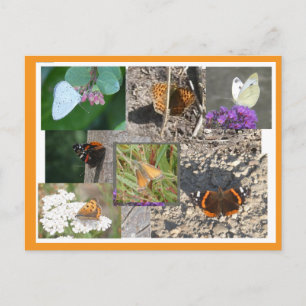 Papillons colorés de juillet en collage DIY Carte