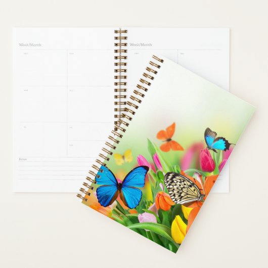 Papillons colorés petit planificateur (Devant avec enveloppe)