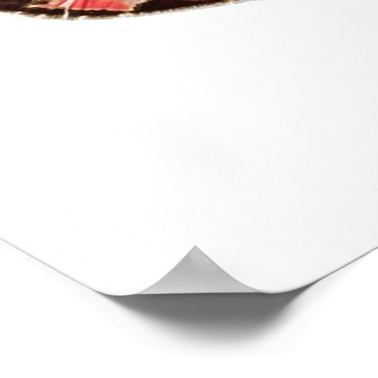 Papillons colorés Poster Imprimer (Coin)