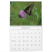 Papillons dans le calendrier naturel (Mar 2027)