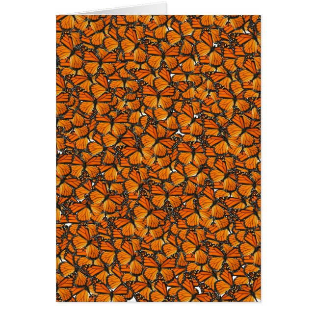 Papillons de monarque (Devant)