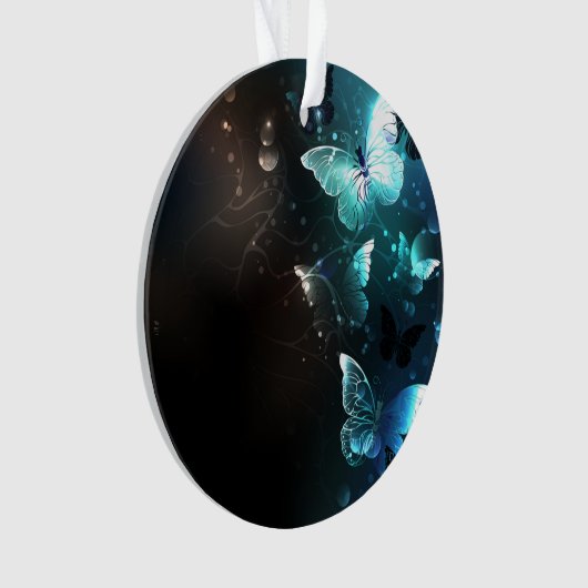 Papillons de nuit (devant)