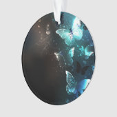 Papillons de nuit (devant)