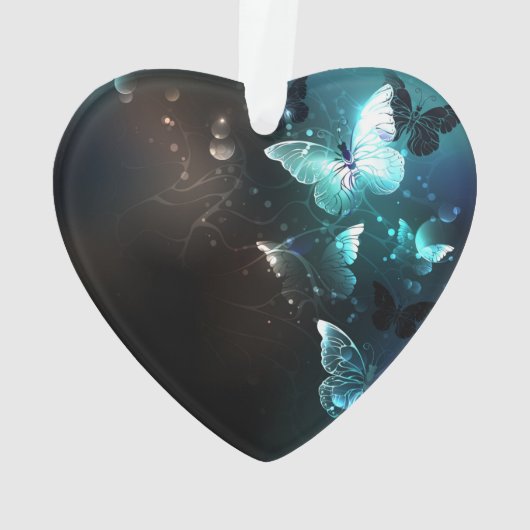 Papillons de nuit (dos)