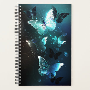 Papillons de nuit à la menthe