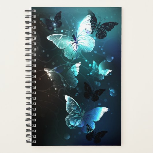 Papillons de nuit à la menthe (Devant)