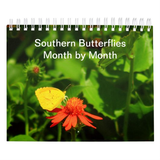 Papillons du Sud Mois par Mois Calendrier 2023 (Protection)