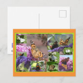 Papillons en collage d'été do-it-yourself carte po (Devant / Derrière)