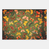 Papillons Envelopper les feuilles de papier (Devant)