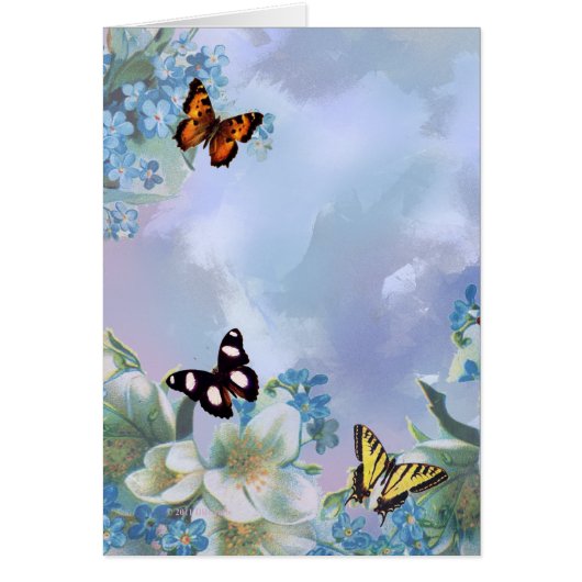 Papillons et bleus (Devant)