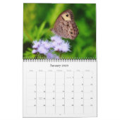 Papillons et fleurs dans le calendrier naturel du (Jan 2026)