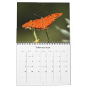 Papillons et fleurs dans le calendrier naturel du (Feb 2026)