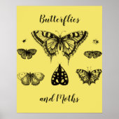 Papillons et Moths Impression Vintage (Devant)