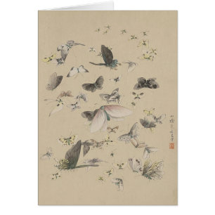 Papillons et papillons