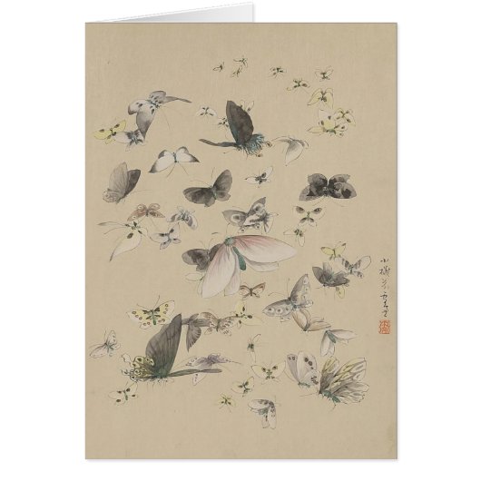 Papillons et papillons (Devant)