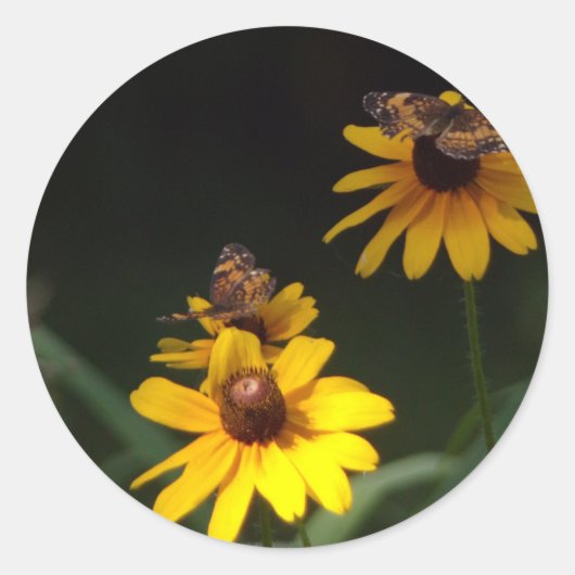 Papillons et Stickers Fleur sauvage (Devant)