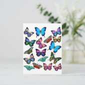 Papillons Fluttant par carte postale (Debout devant)