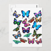 Papillons Fluttant par carte postale (Devant / Derrière)