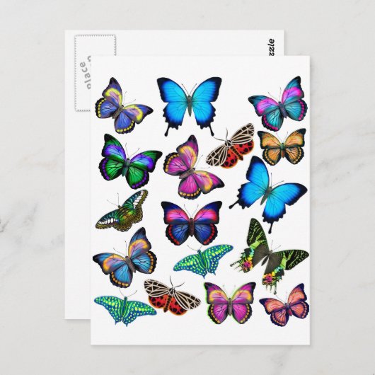 Papillons Fluttant par carte postale (Devant / Derrière)