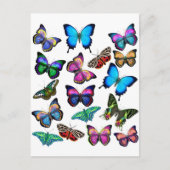 Papillons Fluttant par carte postale (Devant)
