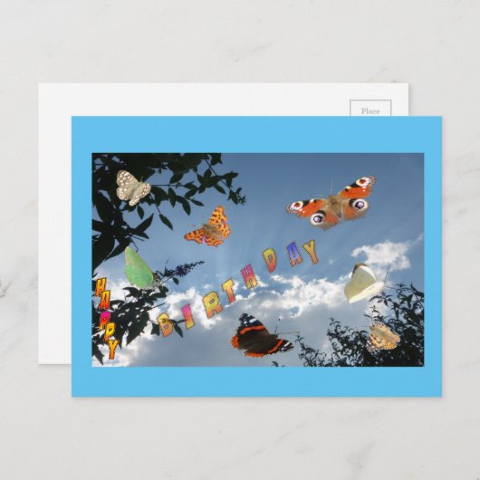 Papillons Hollandais Poussière. Carte postale Cadr (Devant / Derrière)