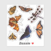 papillons/libellules autocollants (Feuille)