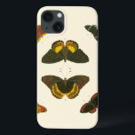 Papillons lumineux par Pieter Cramer<br><div class="desc">Ces papillons brillants sont extrêmement colorés dans leur présentation. Pièce extraordinaire de Pieter Cramer,  elle ferait un excellent cadeau pour les amoureux de la nature dans votre vie !</div>