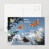 Papillons néerlandais Noms carte postale (Devant / Derrière)