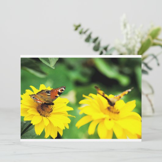 Papillons Peacock - Invitation (Debout devant)