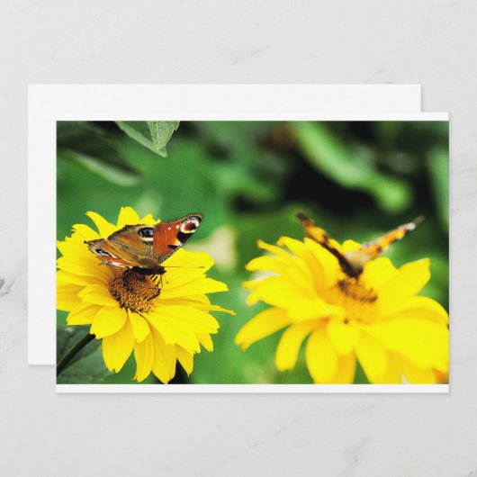 Papillons Peacock - Invitation (Devant / Derrière)