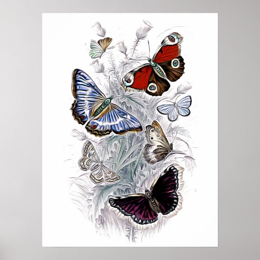 papillons poster (Voorkant)