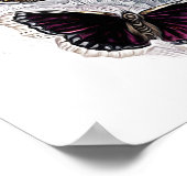 papillons poster (Hoek)
