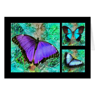 Papillons pourpres