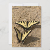 Papillons sur la carte de vacances Beach Flat (Devant)