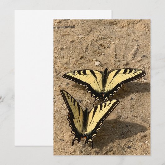 Papillons sur la carte de vacances Beach Flat (Devant / Derrière)