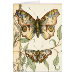 Papillons tandem au-dessus de feuille vert