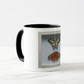 Papillons tasse d'entomologie "dans cadre" (Devant gauche)