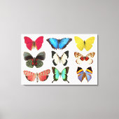 Papillons - toile Impression (Recto)