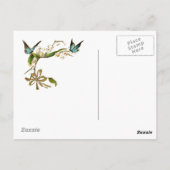 Papillons Vintages de carte postale Turquoises (Dos)