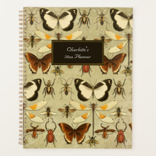 Papillons vintages Motif Chaud Jaune Orange