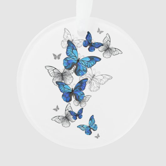 Papillons volants bleus Morpho (devant)