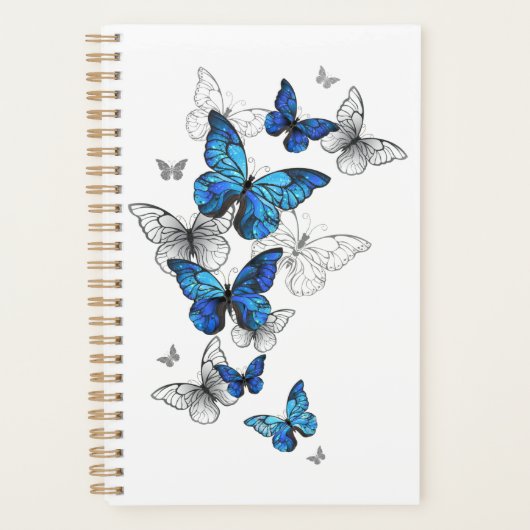 Papillons volants bleus Morpho (Devant)