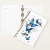 Papillons volants bleus Morpho (Devant avec enveloppe)