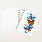 Papillons volants Morpho et Monarch (Devant avec enveloppe)