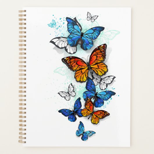 Papillons volants Morpho et Monarch (Devant)