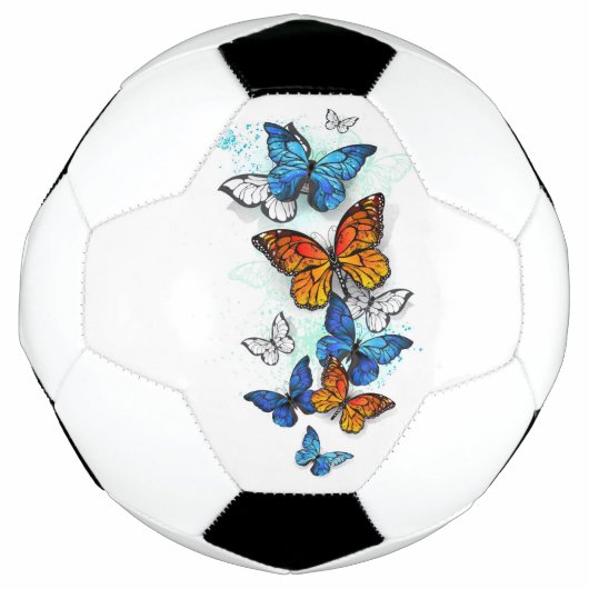 Papillons volants Morpho et Monarch (Devant)