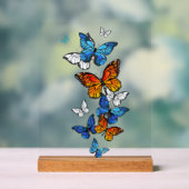 Papillons volants Morpho et Monarch (Neutre)