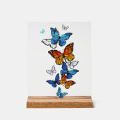 Papillons volants Morpho et Monarch (Recto)