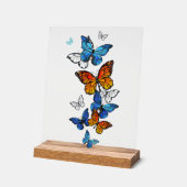 Papillons volants Morpho et Monarch (Angle)