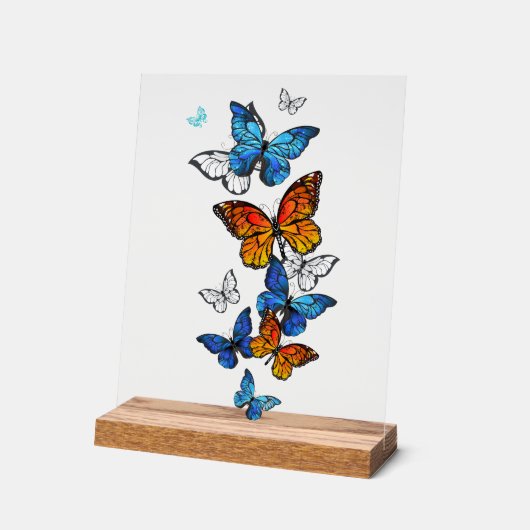 Papillons volants Morpho et Monarch (Angle)